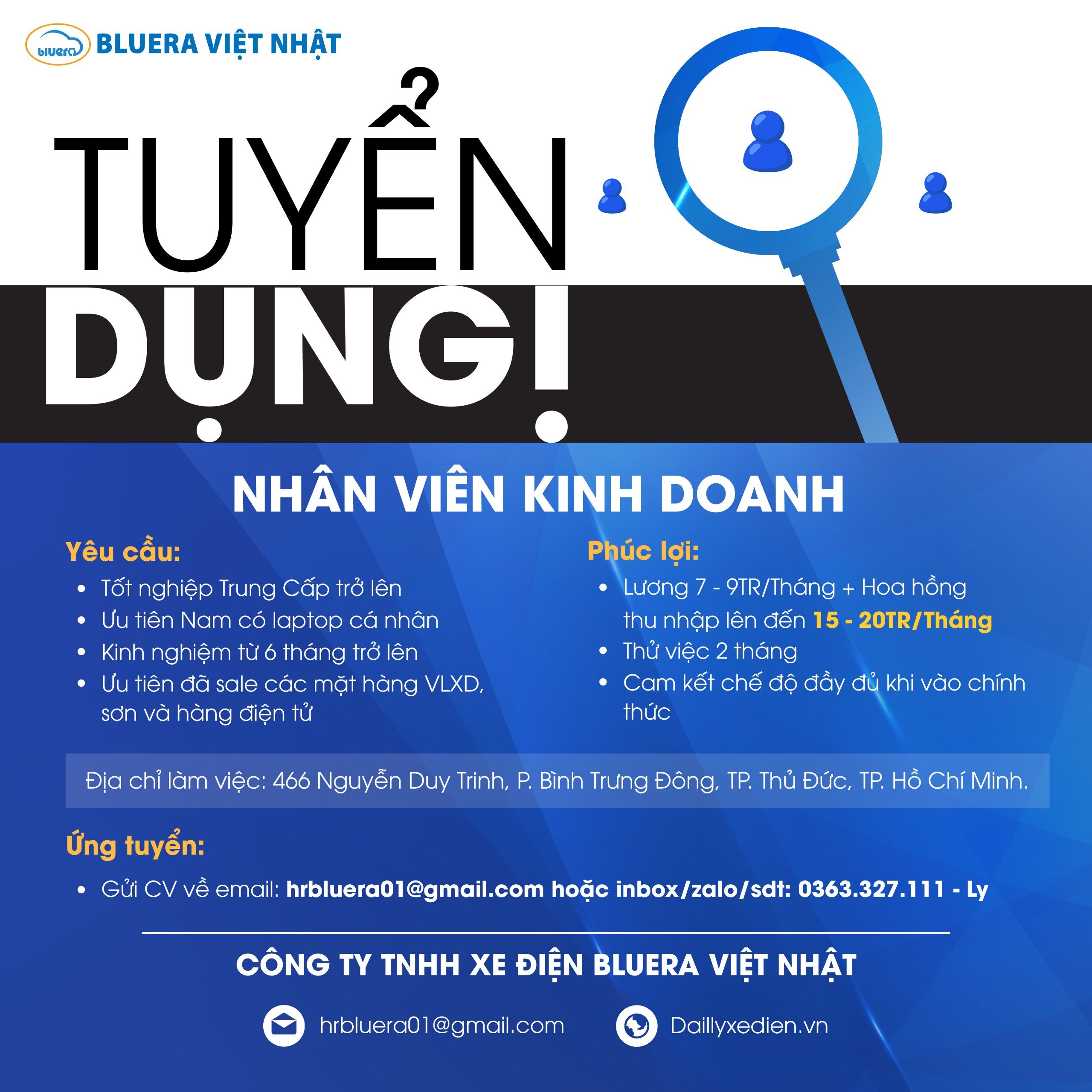 lĩnh vực hoạt động